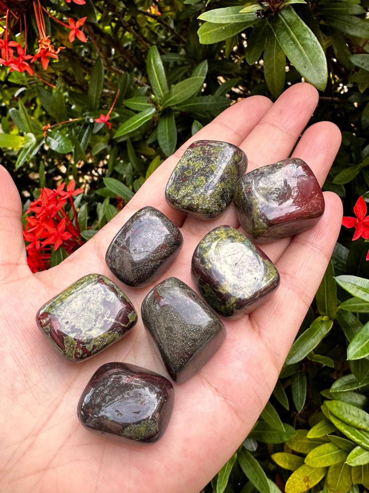 GAF TREASURES 5 Pcs Dragon Blood Jasper Tumbled Stones, Polished Dragon Blood Jasper Gemstone, Dragon Blood Jasper Healing Crystals (Dragon Blood Jasper)