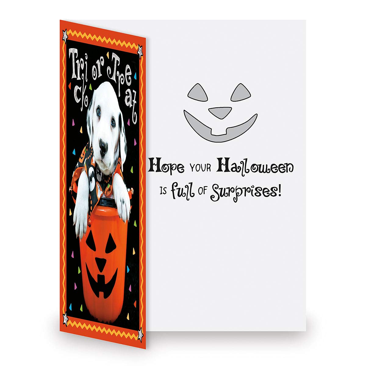 Current Halloween Greeting Cards Set - Themed Holiday Card Variety Value Pack, Set of 12 Large 5 x 7-Inch Cards, Assortment of 12 Unique Designs, Envelopes Included