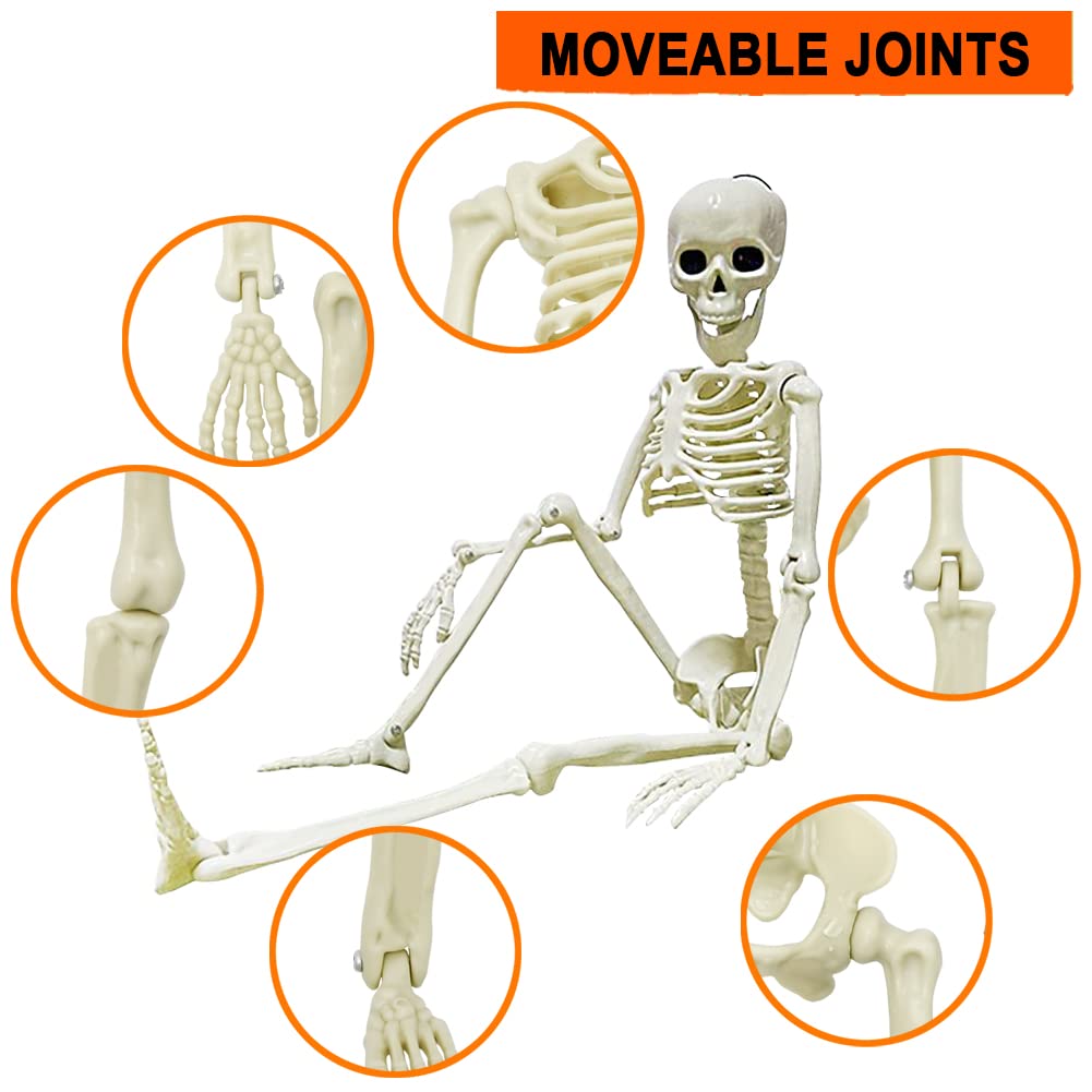 UMEELR 5Pcs Hanging Skeleton Halloween Decorations, 16in Movable Joints Realistic Full Body Poseable Plastic Skeleton for Yard Garden Patio Haunted House Halloween Party Decoration