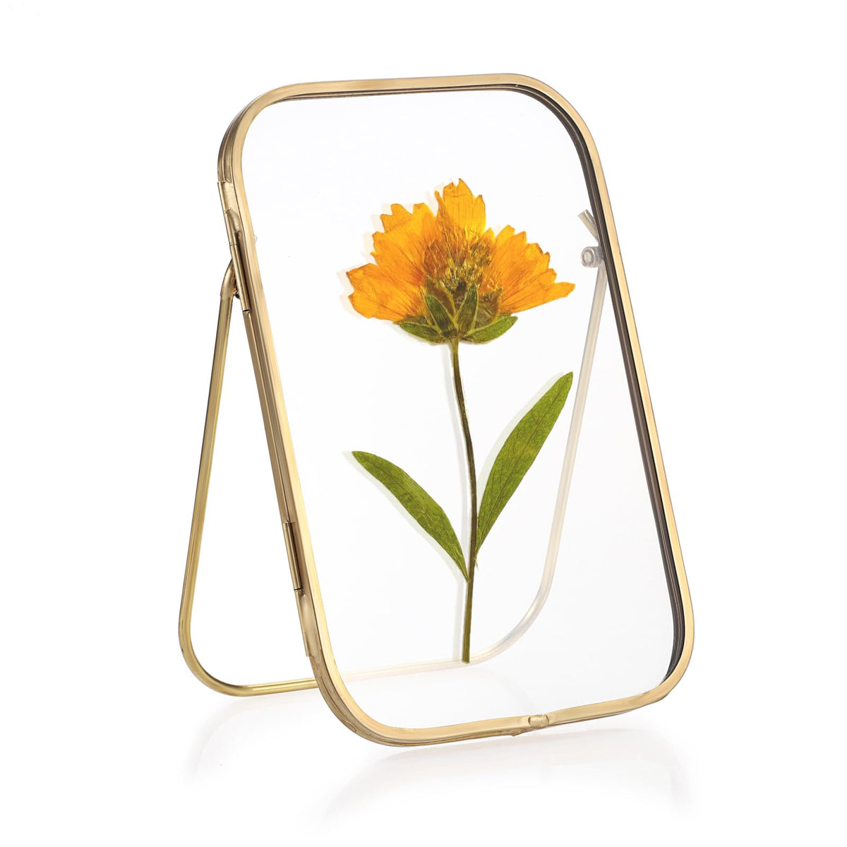 JUXYES Tabletop Double Glass Brass Frames for Pressed Flowers, Double Sided Glass Frame Gold Floating Artwork Display Frames for Photo, Picture, Dried Pressed Flower, etc, 4x6 Inches