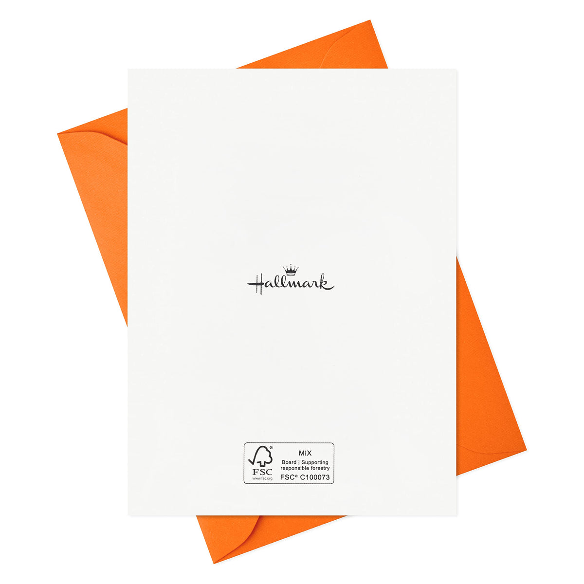 Hallmark Halloween Cards Assortment, Pet Puns (48 Cards with Envelopes)
