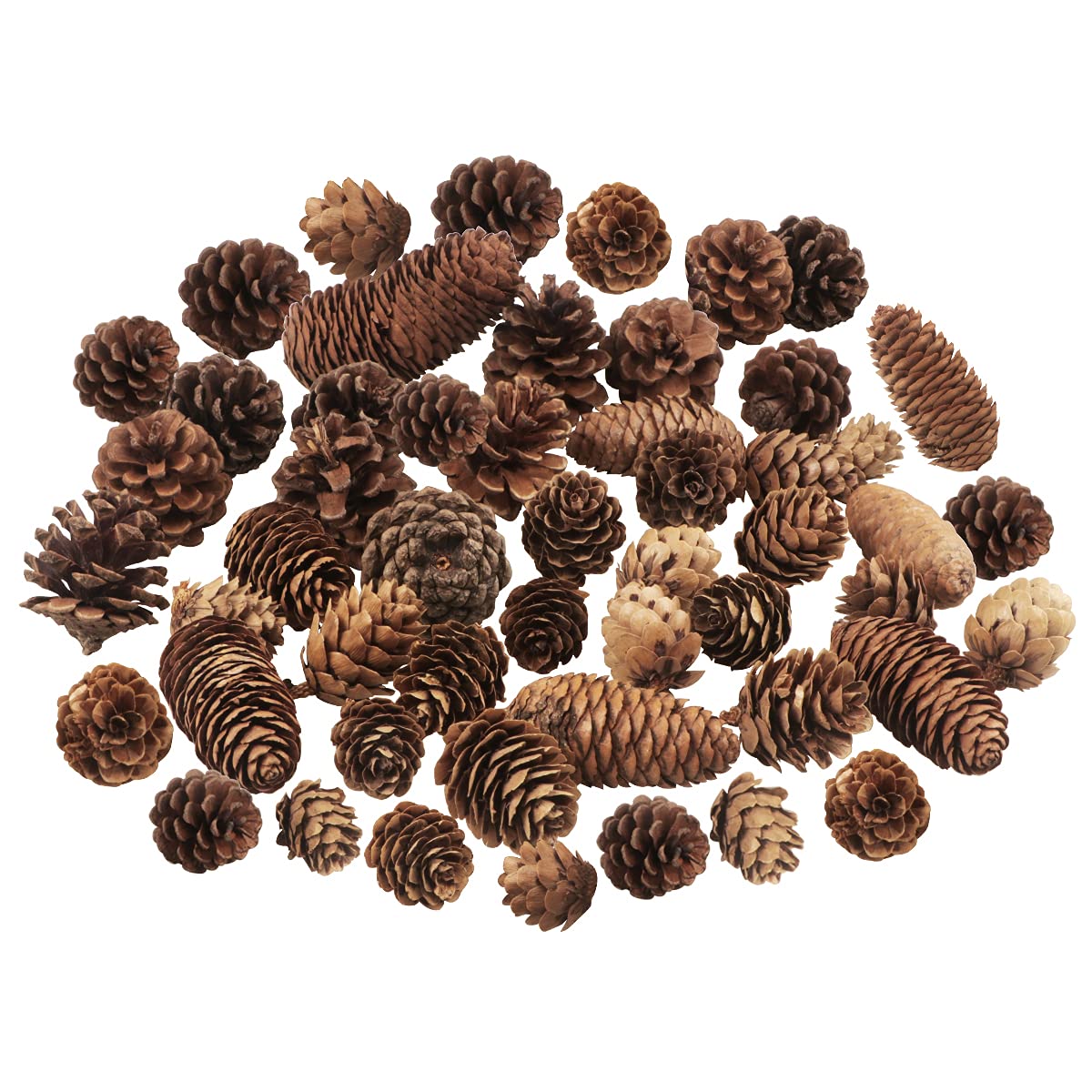 40 PCS Rustic Pine Cone Decorations - Large, Medium and Mini Sizes for Table, Tree and Home Decor