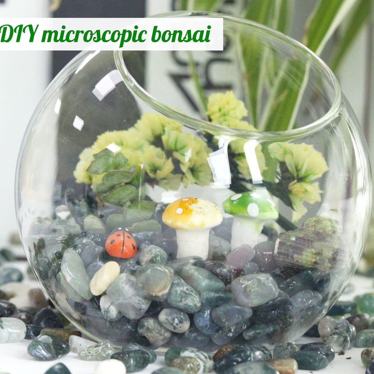 Aquatic Agate Aquarium Gravel Rocks Natural Tumbled Healing Crystal Chips Bulk Gemstones Crushed Stones for Fountain Vase Filler Planters Decorative Fish Tank Potted Reiki Energy Balancing 0.45lb