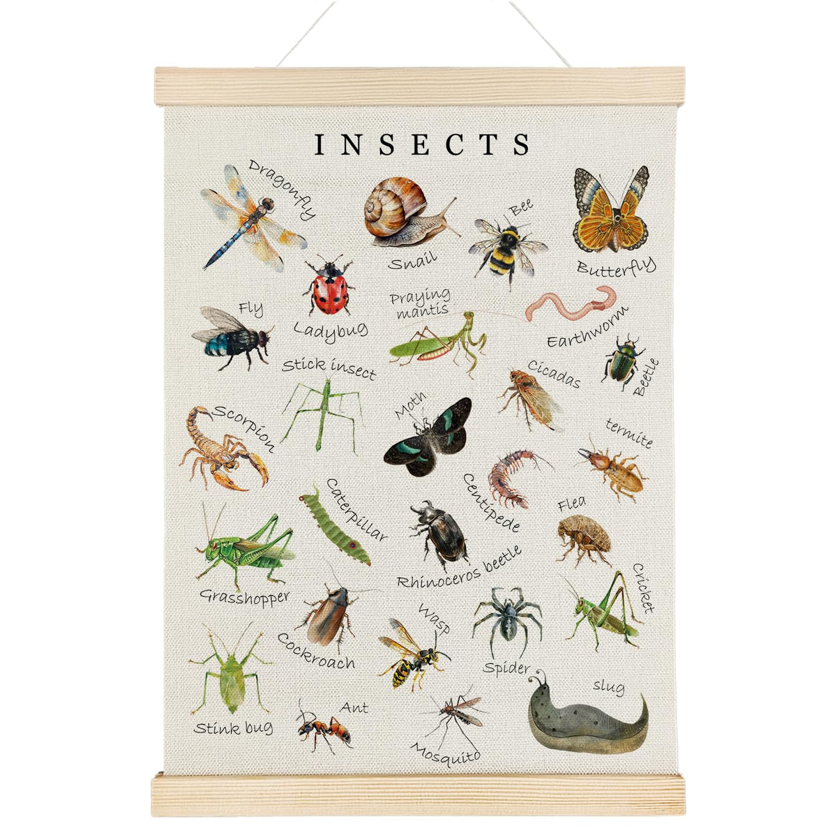 Nrleey Insects Poster Hanger Frame - Educational Wall Art, Kids Room Nursery Classroom Decor, 12x16 Inches