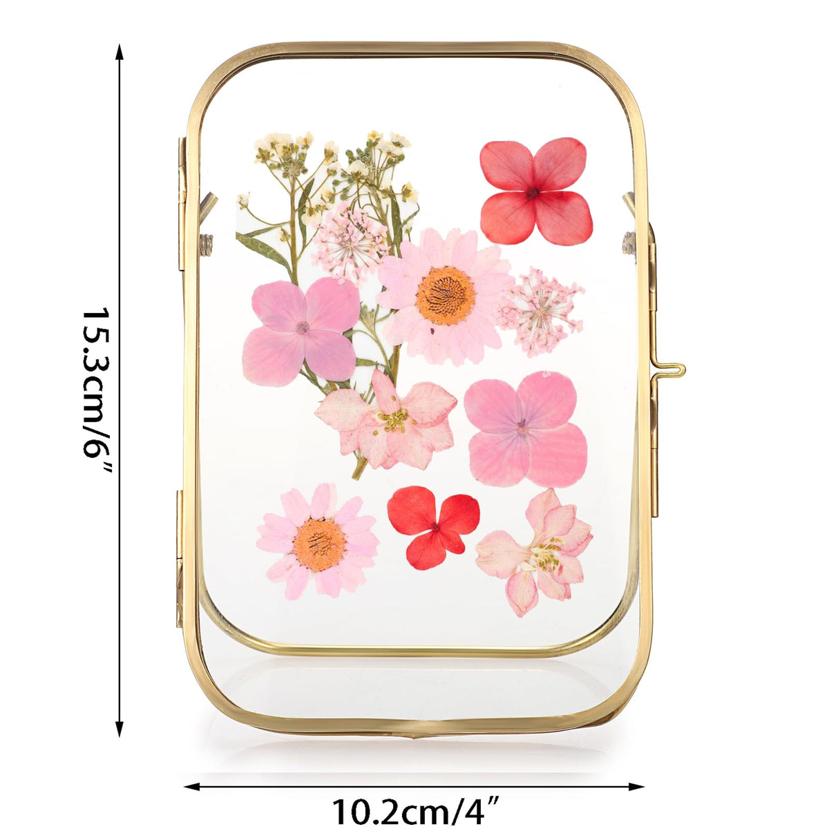 JUXYES Tabletop Double Glass Brass Frames for Pressed Flowers, Double Sided Glass Frame Gold Floating Artwork Display Frames for Photo, Picture, Dried Pressed Flower, etc, 4x6 Inches