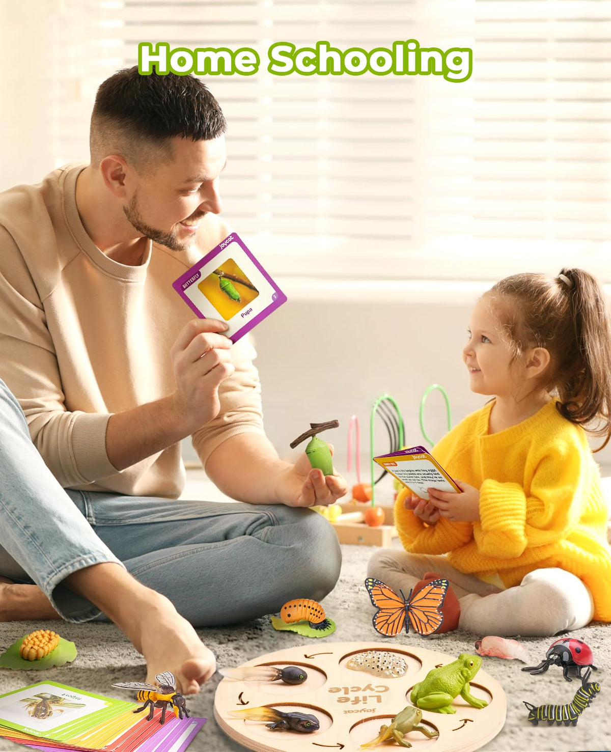 JoyCat Life Cycle Learning Education Toys, Insect Caterpillar to Butterfly kit, Ladybug, Bee, Tadpole to Frog Kit Life Cycle Toys for Kids, Preschool Learning Activities for Age 3 4 5 6 7 8