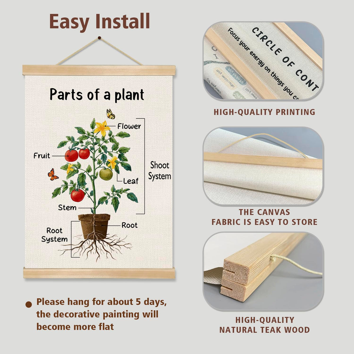 Parts of a Plant Educational Poster,14x18.5 Inch Linen Canvas Wall Botanical Chart Hanging Poster, Science Learning Classroom, Nursery, Homeschool,Kids Room Decoration (Green-Parts of a plant)