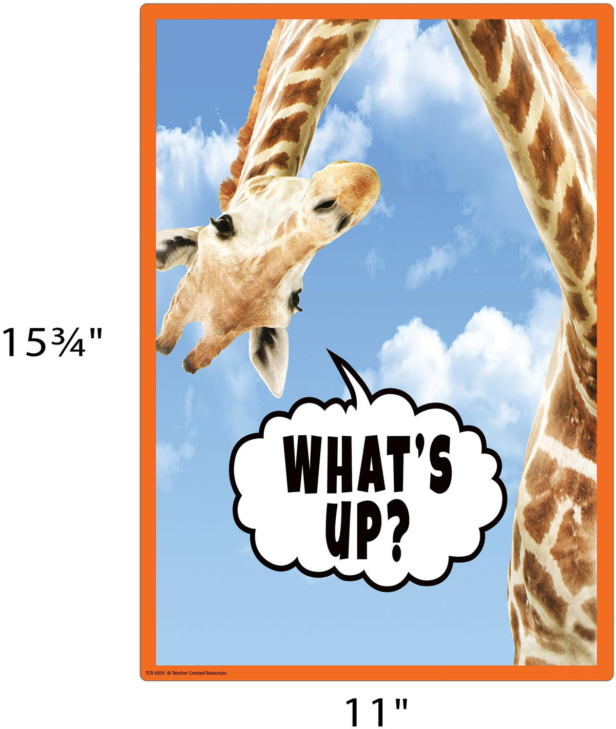 Teacher Created Resources Go Wild Animals Educational Poster Pack (TCR6824)