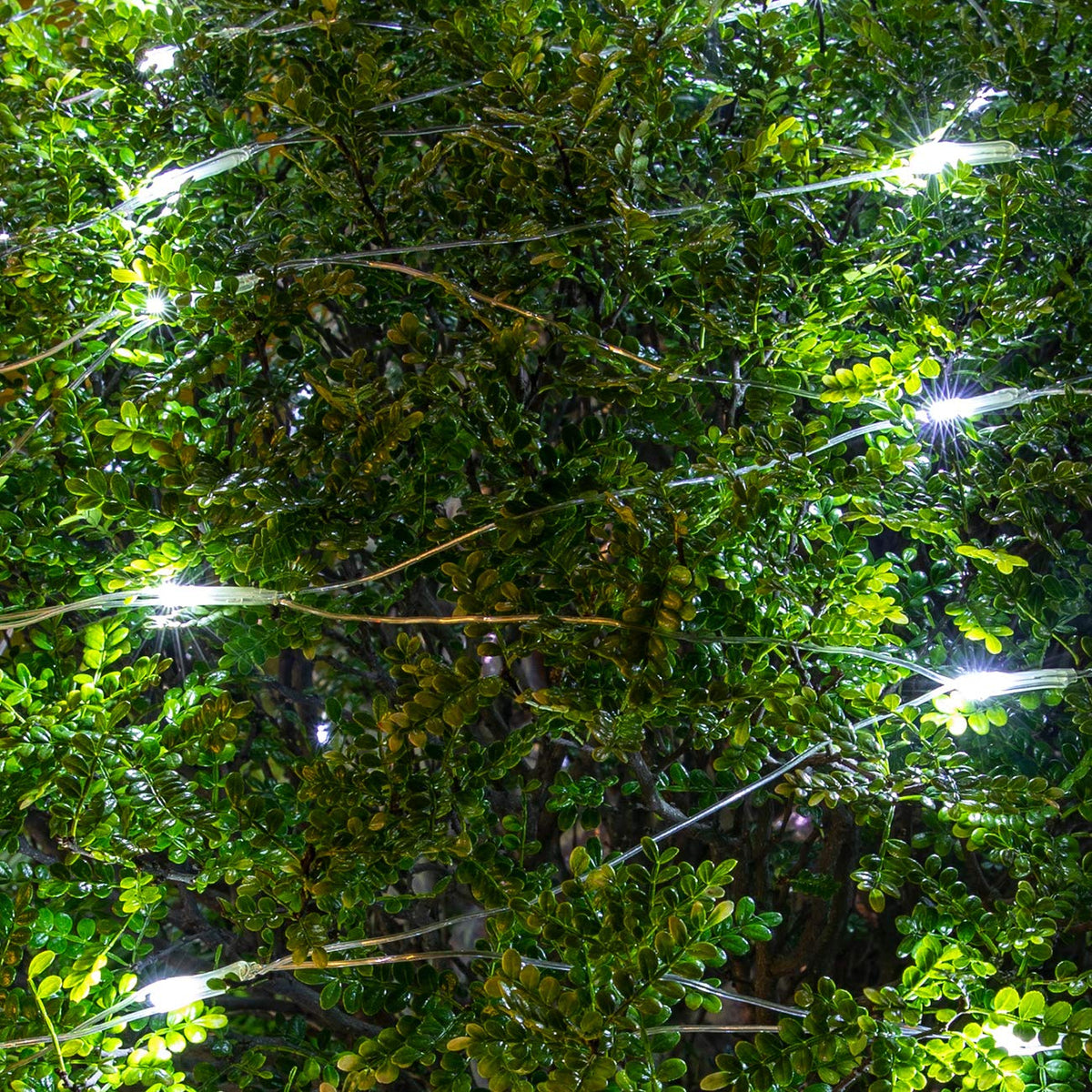 AWQ 200 LED 9.8ft x 6.6ft String Lights Net Mesh Lights Christmas Net Lights 8 Modes for Christmas Wedding Party Home Garden Lawn Bushes Indoor Outdoor Decor (9.8ft x 6.6ft, White)
