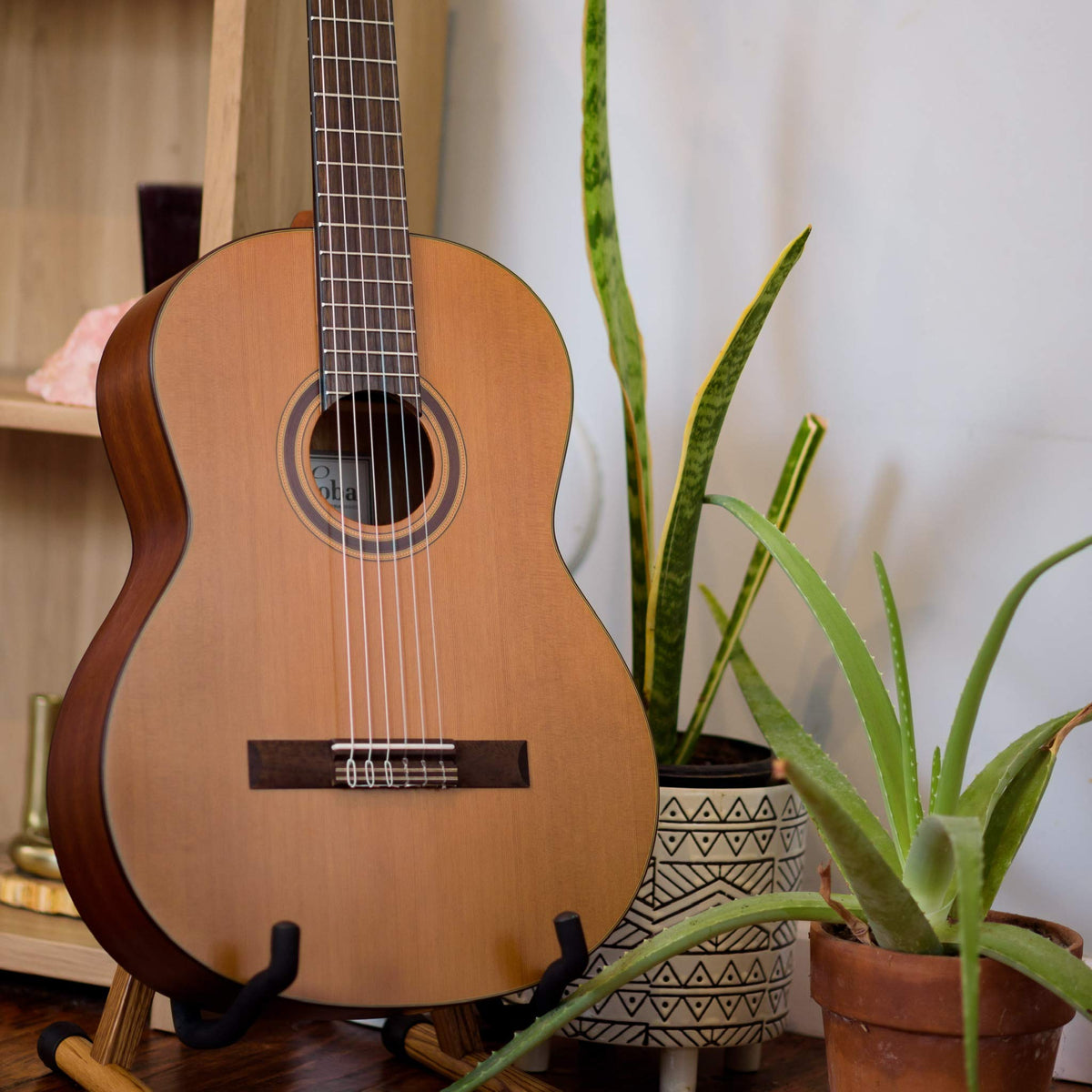Cordoba C3M Classical Guitar