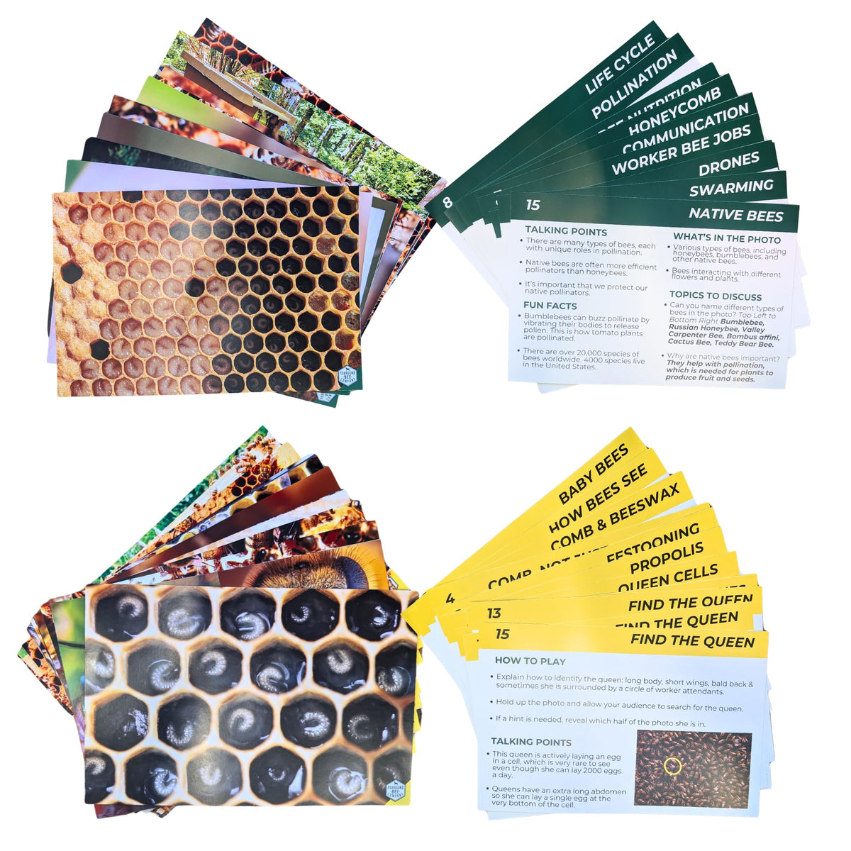 Educational Beekeeping Cards – 12x18 Oversized Beekeeping Flashcards for Teaching Bees and Beekeeping - Classroom and Workshop Learning Tool (Complete Set - Heavy Card Stock)