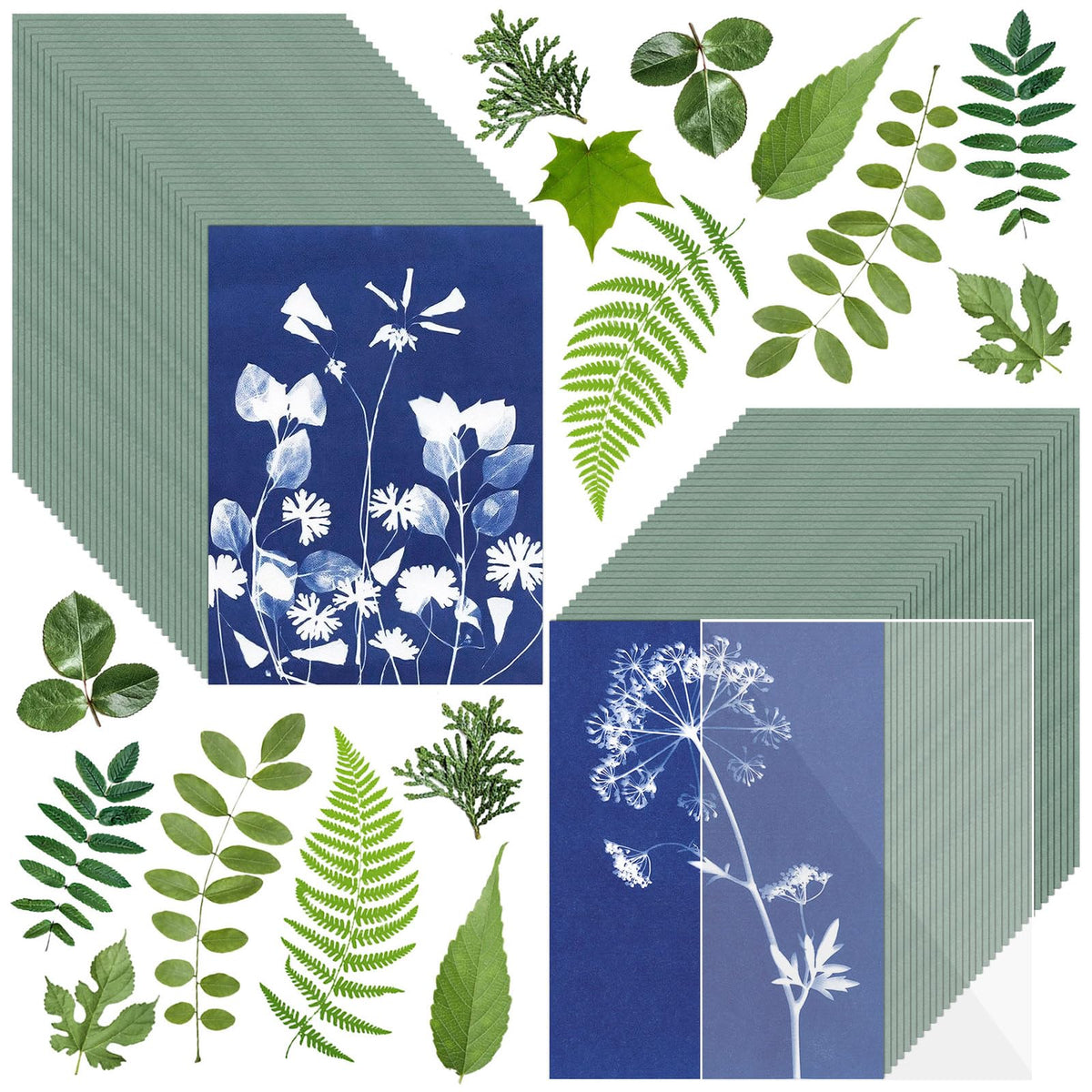 Sun Print Paper Kit Cyanotype Paper, 60 Sheets Cyanotype Papers with 1 Sheet Acrylic Panel, High Sensitive Nature Solar Activated Printing Art Supplies for Arts Crafts DIY Project
