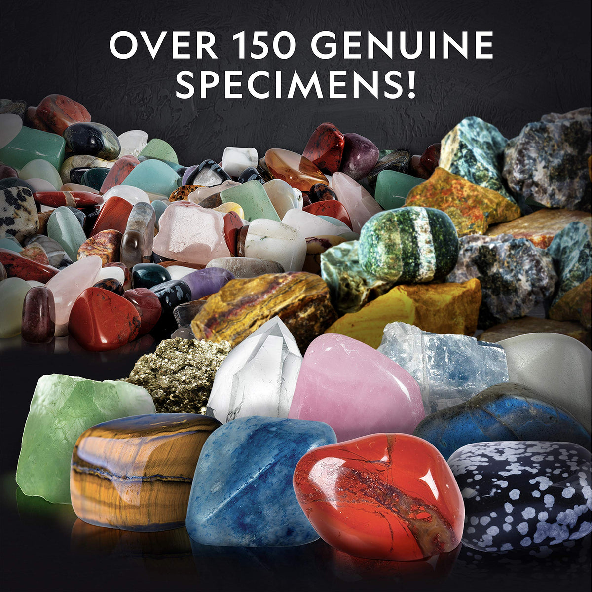 National Geographic Rock Bingo Game - Play Rock Bingo, Mineral Memory, Gemstone Trivia, & Card Games, Collection Includes Over 150 Rocks and Minerals, Educational STEM Toy for Kids (Amazon Exclusive)