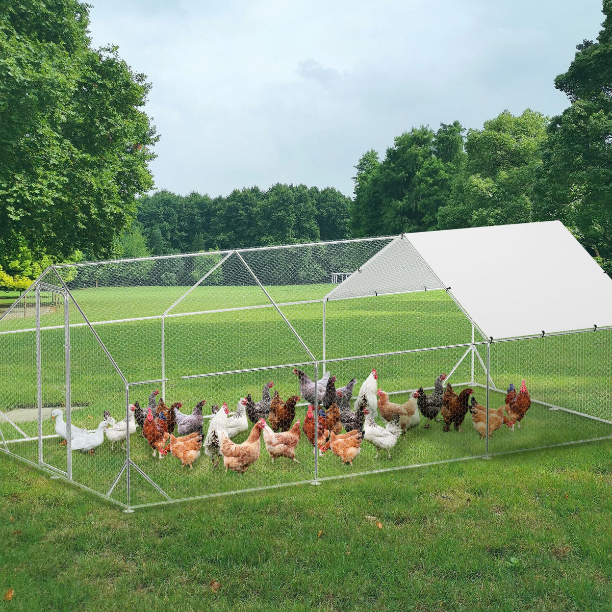 Large Metal Chicken Coop with Run, 9.8x19.7x6.6 Ft Walk in Chicken Runs for Outdoor Backyard, Heavy Duty Poultry Pen with Security Lock & Anti-UV Cover, Tri-Supporting Wire Mesh