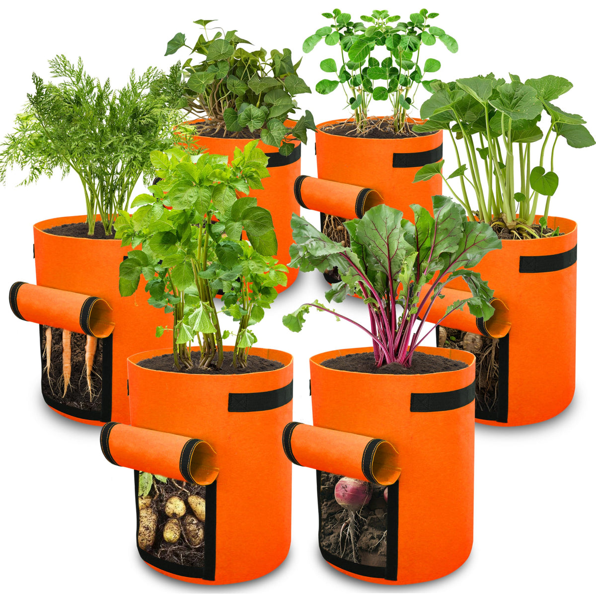 Gardzen 6 Pack BPA-Free 10 Gallon Vegetable Grow Bags with Access Flap and Handles, Suitable for Planting Potato, Taro, Beets, Carrots, Onions, Peanut