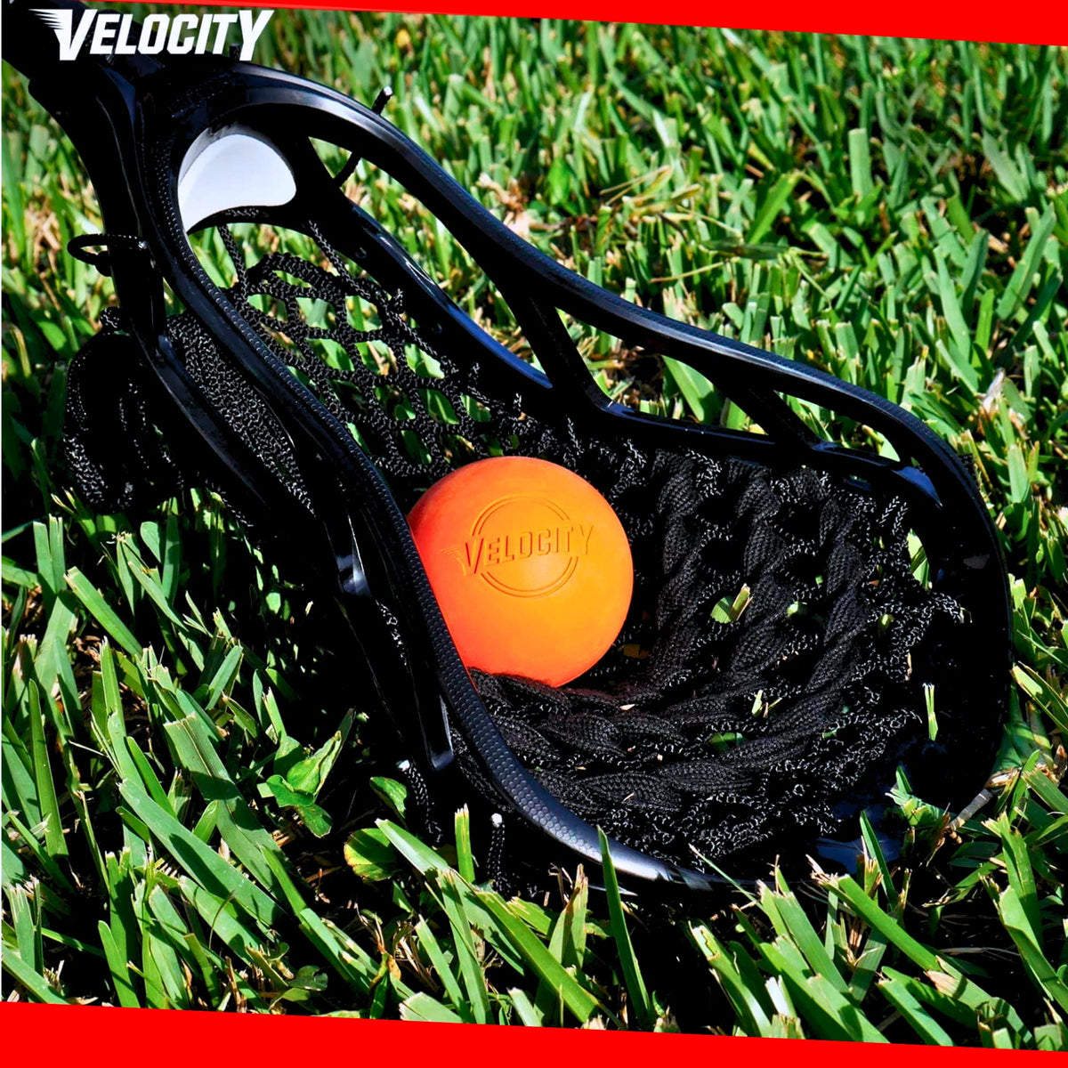 Velocity Practice Lacrosse Balls - 1, 2, 3, 6, 12, 18, 24, 36, 60 and 120 Packs - Official Size and Weight - Purple