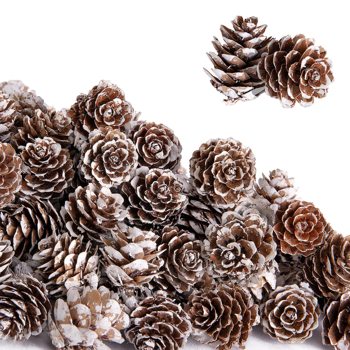 Deloky 150 Pcs Christmas Natural Mini Pine Cones- 1" Small Christmas Snow Pinecones Ornaments- Thanksgiving Mini Snow Pinecones for DIY Crafts Vase Fillers Fall Winter Home Christmas Tree Decor